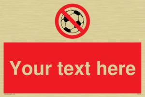 Custom No Ball Games Sign