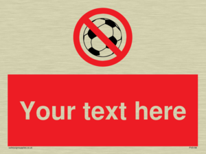 Custom No Ball Games Sign