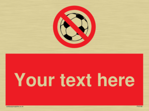 Custom No Ball Games Sign