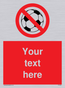 Custom No Ball Games Sign