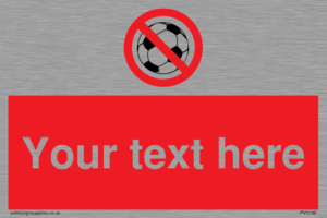 Custom No Ball Games Sign