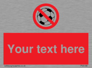 Custom No Ball Games Sign