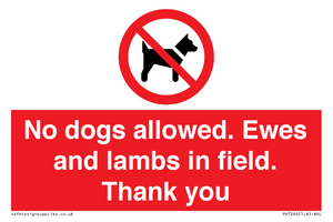No dogs allowed. Ewes and lambs in field. Thank you