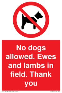 No dogs allowed. Ewes and lambs in field. Thank you
