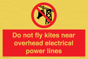 Do not fly kites near overhead electrical power lines