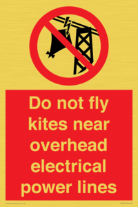 Do not fly kites near overhead electrical power lines