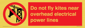 Do not fly kites near overhead electrical power lines