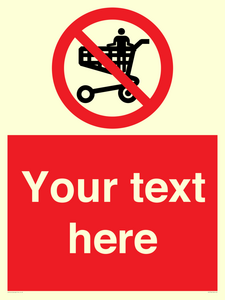 Custom prohibition no standing in trolley