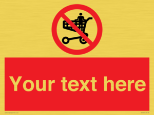 Custom prohibition no standing in trolley