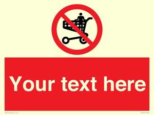 Custom prohibition no standing in trolley