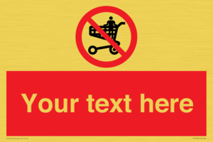 Custom prohibition no standing in trolley