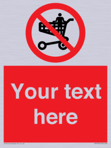 Custom prohibition no standing in trolley