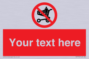 Custom prohibition no standing in trolley