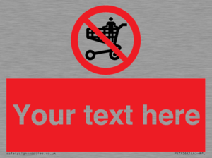 Custom prohibition no standing in trolley