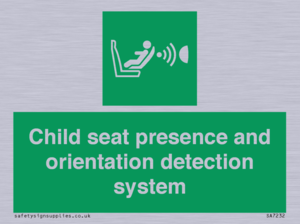 Child seat presence and orientation detection system