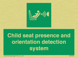 Child seat presence and orientation detection system