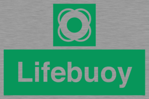 Lifebuoy