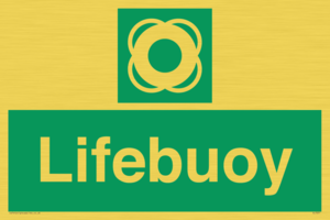 Lifebuoy