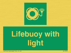 Lifebuoy with light