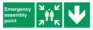 Emergency assembly point directional Down arrow