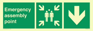 Emergency assembly point directional Down arrow