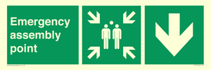 Emergency assembly point directional Down arrow