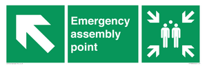 Emergency assembly point directional down Up left arrow