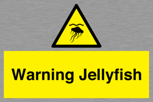 Warning jellyfish