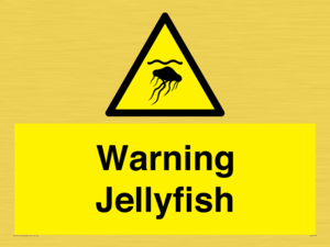Warning jellyfish