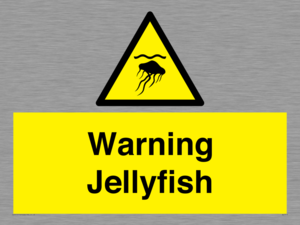 Warning jellyfish