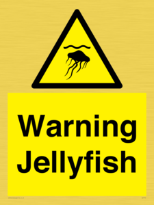 Warning jellyfish
