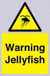 Warning jellyfish