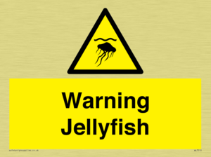Warning jellyfish