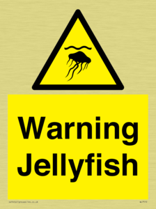 Warning jellyfish