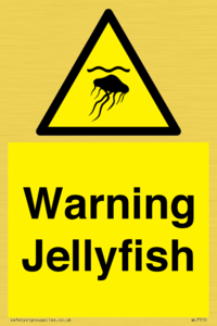 Warning jellyfish