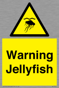 Warning jellyfish
