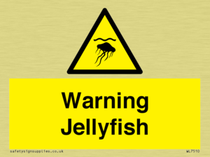 Warning jellyfish