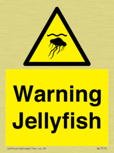 Warning jellyfish