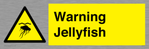 Warning jellyfish