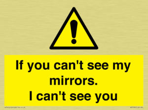 If you can't see my mirrors, I can't see you
