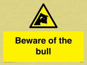 Beware of the bull