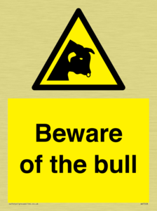 Beware of the bull
