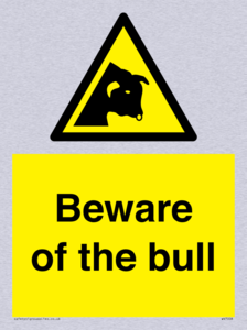Beware of the bull