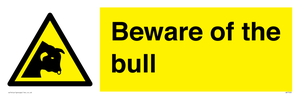 Beware of the bull
