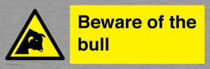 Beware of the bull