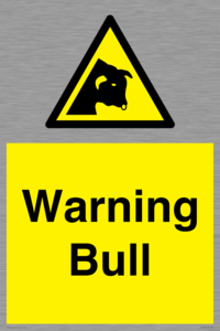 Warning bull