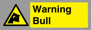 Warning bull