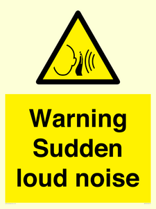 Warning Sudden loud noise