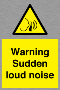 Warning Sudden loud noise