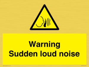 Warning Sudden loud noise